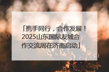 携手同行，合作发展！2025山东国际友城合作交流周在济南启动