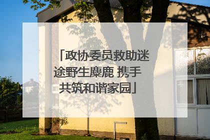 政协委员救助迷途野生麋鹿 携手共筑和谐家园