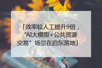 效率较人工提升9倍，“AI大模型+公共资源交易”场景在启东落地