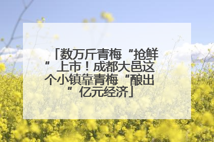 数万斤青梅“抢鲜”上市！成都大邑这个小镇靠青梅“酿出”亿元经济