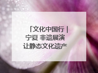 文化中国行｜宁夏 非遗展演让静态文化遗产“活”起来
