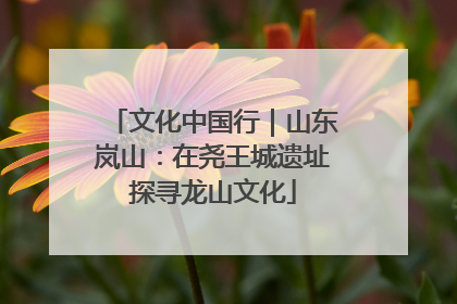 文化中国行｜山东岚山：在尧王城遗址探寻龙山文化