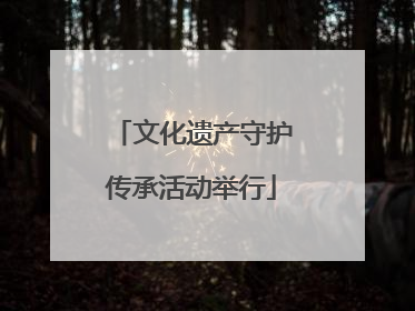 文化遗产守护传承活动举行