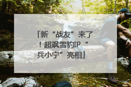 新“战友”来了！超飒雪豹IP“兵小宁”亮相