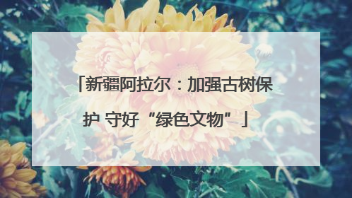 新疆阿拉尔：加强古树保护 守好“绿色文物”