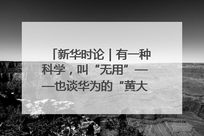 新华时论｜有一种科学，叫“无用”——也谈华为的“黄大年茶思屋”