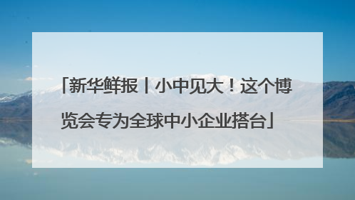 新华鲜报丨小中见大！这个博览会专为全球中小企业搭台