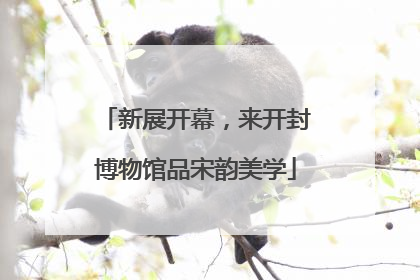 新展开幕，来开封博物馆品宋韵美学