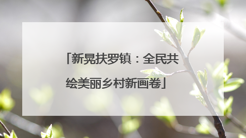 新晃扶罗镇：全民共绘美丽乡村新画卷