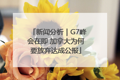 新闻分析｜G7峰会在即 加拿大为何要放弃达成公报