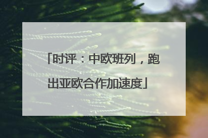 时评：中欧班列，跑出亚欧合作加速度