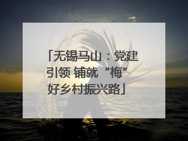 无锡马山：党建引领 铺就“梅”好乡村振兴路
