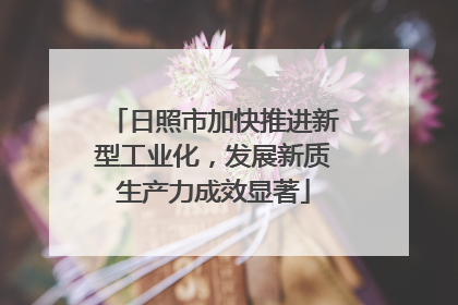 日照市加快推进新型工业化，发展新质生产力成效显著