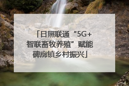 日照联通“5G+智联畜牧养殖”赋能碑廓镇乡村振兴