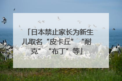 日本禁止家长为新生儿取名“皮卡丘”“耐克”“布丁”等