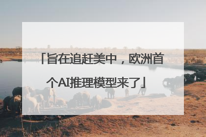 旨在追赶美中，欧洲首个AI推理模型来了