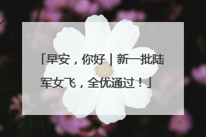 早安，你好｜新一批陆军女飞，全优通过！