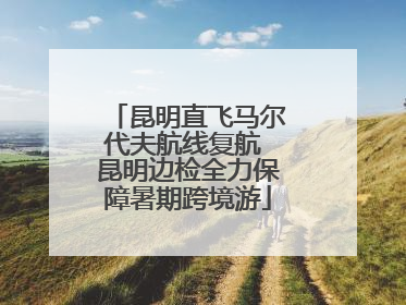 昆明直飞马尔代夫航线复航 昆明边检全力保障暑期跨境游