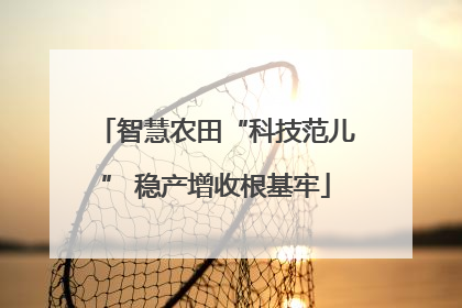 智慧农田“科技范儿” 稳产增收根基牢