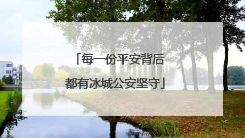 每一份平安背后 都有冰城公安坚守