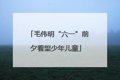 毛伟明“六一”前夕看望少年儿童