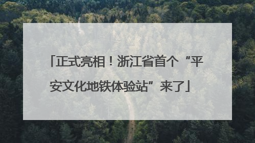 正式亮相！浙江省首个“平安文化地铁体验站”来了