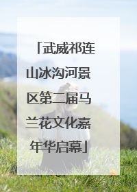 武威祁连山冰沟河景区第二届马兰花文化嘉年华启幕