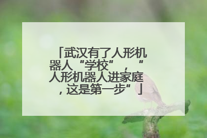 武汉有了人形机器人“学校”，“人形机器人进家庭，这是第一步”