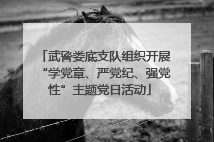 武警娄底支队组织开展“学党章、严党纪、强党性”主题党日活动