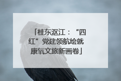 桂东沤江：“四红”党建领航绘就康氧文旅新画卷