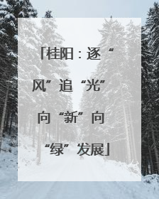 桂阳：逐“风”追“光” 向“新”向“绿”发展