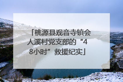 桃源县观音寺镇会人溪村党支部的“48小时”救援纪实