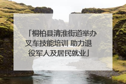 桐柏县清淮街道举办叉车技能培训 助力退役军人及居民就业