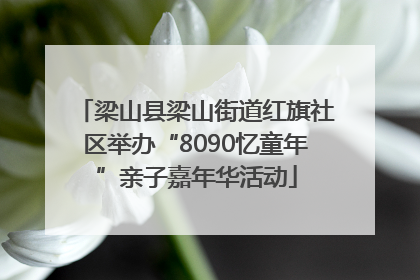 梁山县梁山街道红旗社区举办“8090忆童年”亲子嘉年华活动