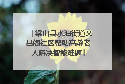 梁山县水泊街道文昌阁社区帮助高龄老人解决智能难题