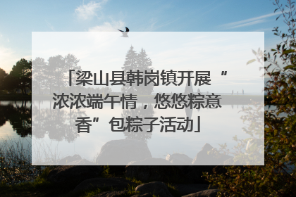 梁山县韩岗镇开展“浓浓端午情，悠悠粽意香”包粽子活动