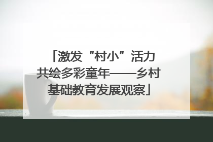激发“村小”活力 共绘多彩童年——乡村基础教育发展观察