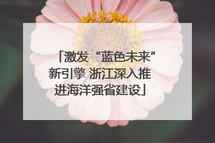 激发“蓝色未来”新引擎 浙江深入推进海洋强省建设