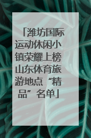 潍坊国际运动休闲小镇荣耀上榜山东体育旅游地点“精品”名单