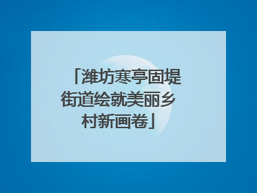 潍坊寒亭固堤街道绘就美丽乡村新画卷