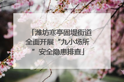 潍坊寒亭固堤街道全面开展“九小场所”安全隐患排查