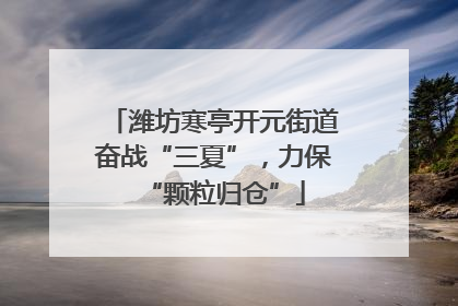 潍坊寒亭开元街道奋战“三夏”，力保“颗粒归仓”