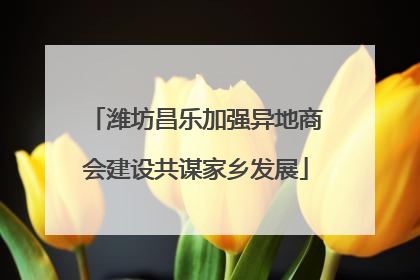 潍坊昌乐加强异地商会建设共谋家乡发展