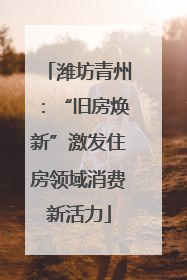 潍坊青州：“旧房焕新”激发住房领域消费新活力