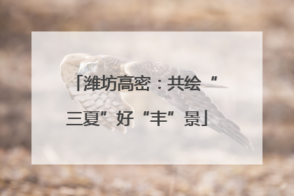 潍坊高密：共绘“三夏”好“丰”景