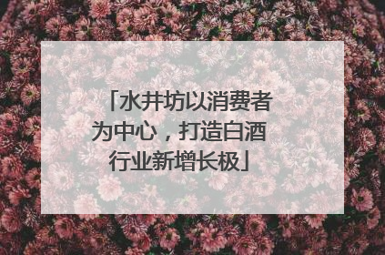 水井坊以消费者为中心，打造白酒行业新增长极