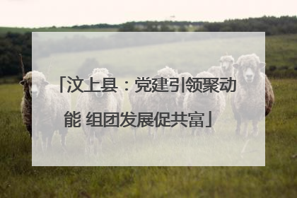 汶上县：党建引领聚动能 组团发展促共富