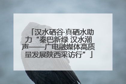 汉水硒谷·真硒水助力“秦巴新绿 汉水潮声——广电融媒体高质量发展陕西采访行”