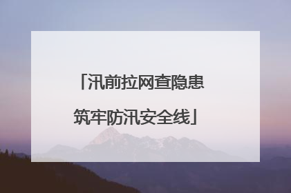 汛前拉网查隐患 筑牢防汛安全线