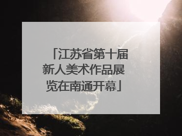江苏省第十届新人美术作品展览在南通开幕